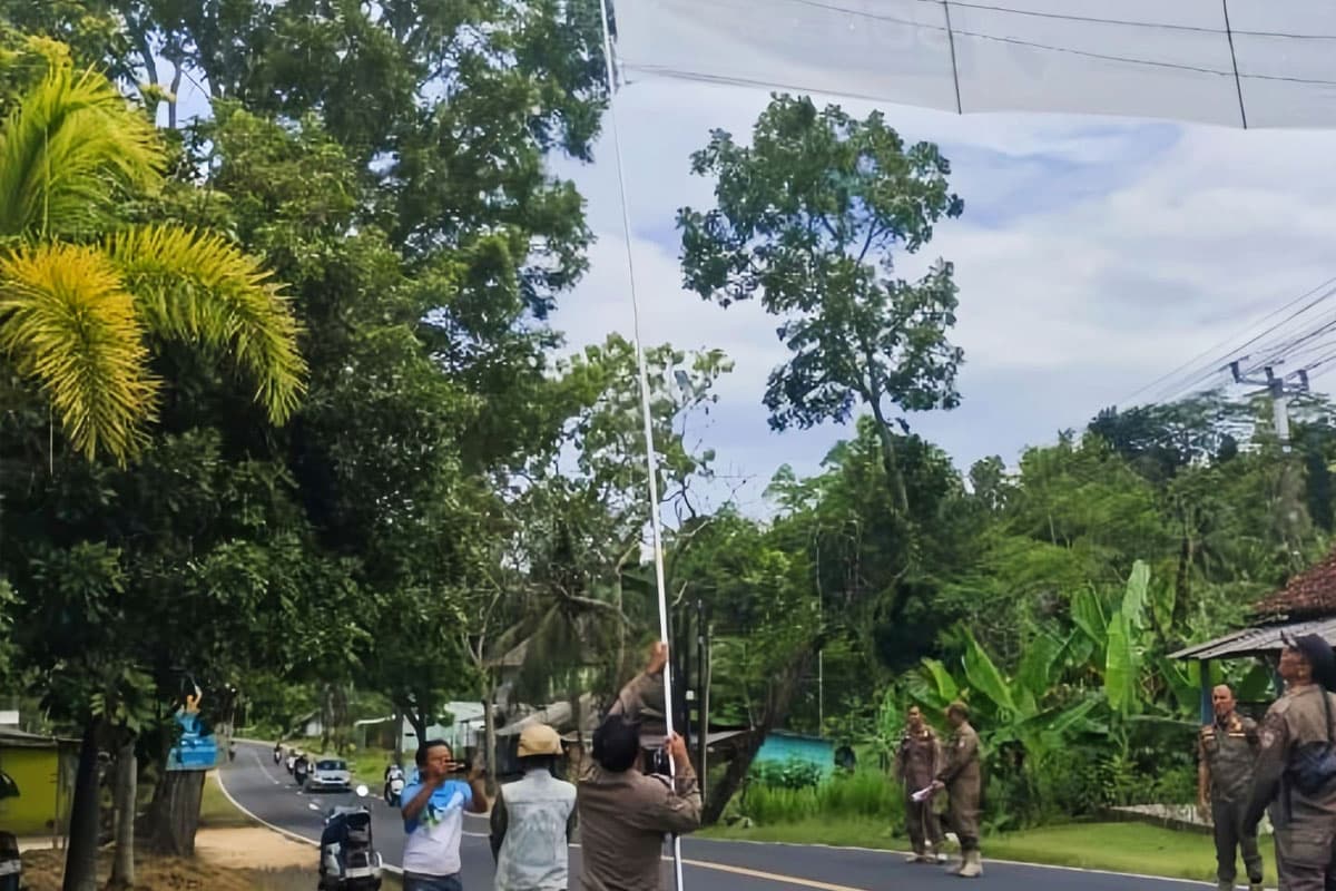 Langgar Aturan, Satpol PP Pangandaran Tertibkan Ratusan Spanduk Iklan di Jalur Wisata